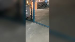 চুষা রড পাম্পের খুচরা অংশ নিমজ্জনকারী