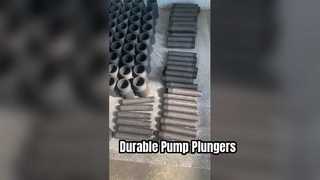 চুষা রড পাম্প খুচরা যন্ত্রাংশ