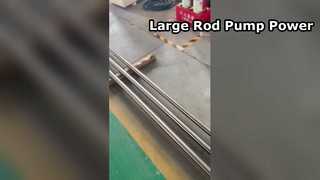 দীর্ঘতর plunger