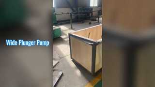 নিমজ্জনকারী